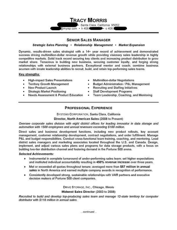 Sample Resume For Sales Executive Word Format from d1a8zj7ykmx1ne.cloudfront.net